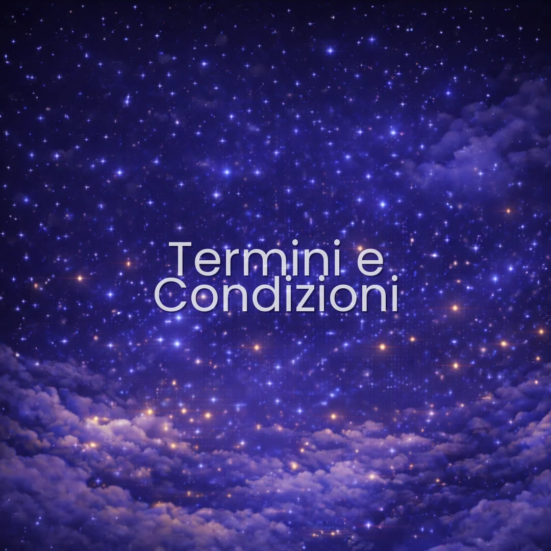 Termini e Condizioni